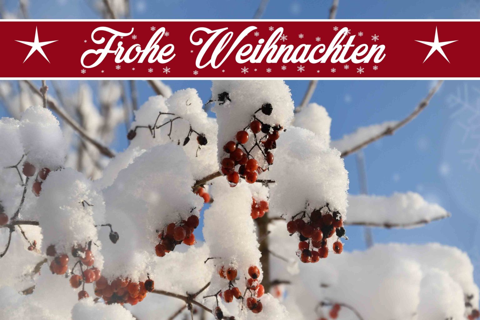 Neue Kinofilme Weihnachten 2022 Frohe Weihnachten und ein Gutes 2021 JSZE JardinSuisse